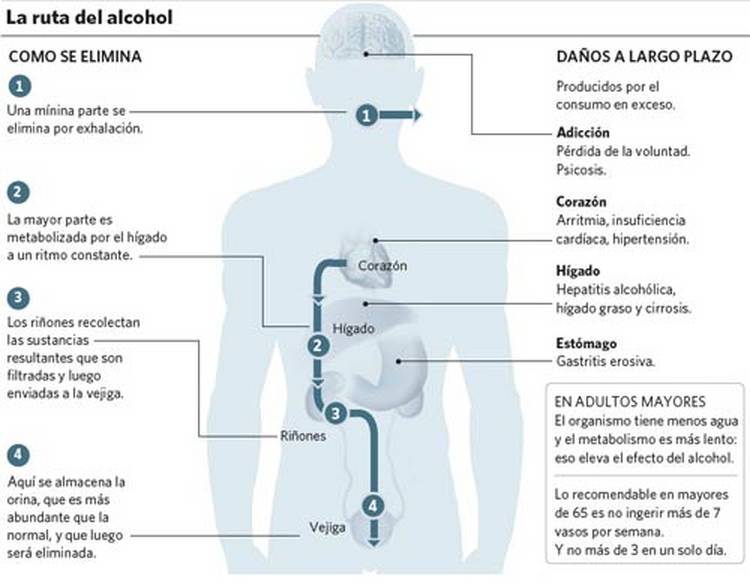 ¿Sabias que?  Infografia-alcohol_claima20100814_0125_16